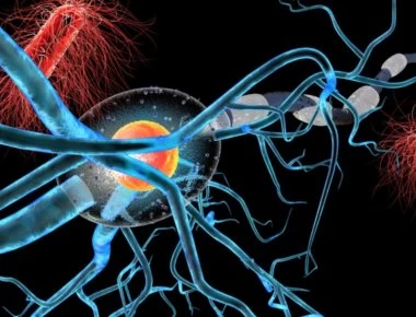 Ποιος να το φανταζόταν; - Η τροφή που όλοι πετάμε, καταπολεμά τον καρκίνο